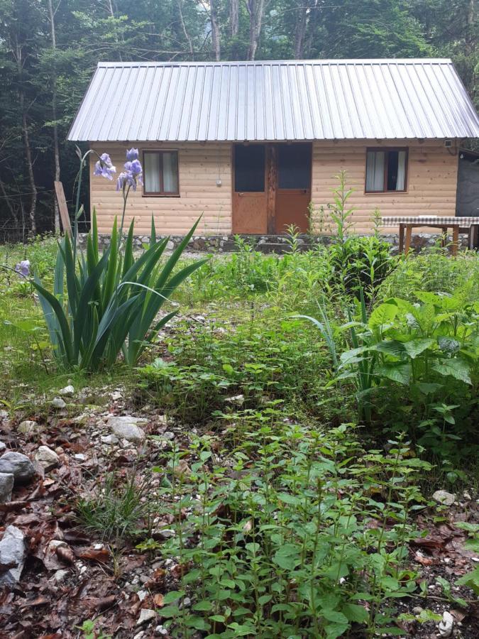 Guesthouse Dioni Βαλμπόνα Εξωτερικό φωτογραφία
